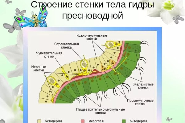 Кракен новая гидра